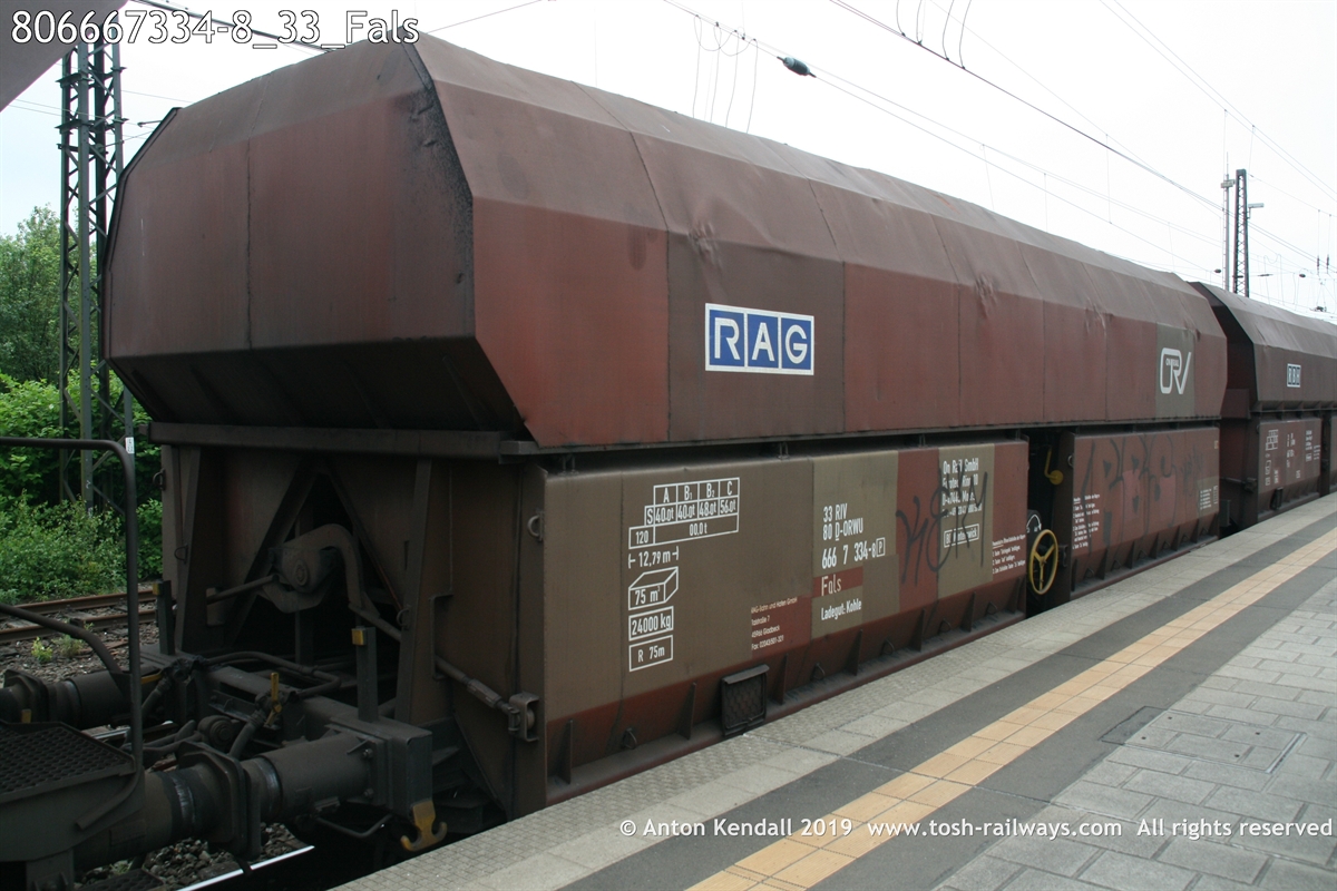 806667334-8_33_Fals.jpg